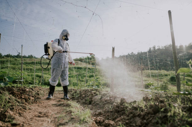 Best Commercial Pest Control Services  in Fruitland Park, FL