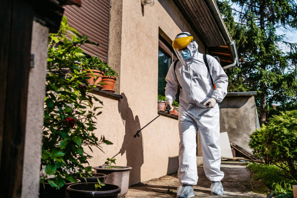 Trusted Fruitland Park, FL Pest Control Experts