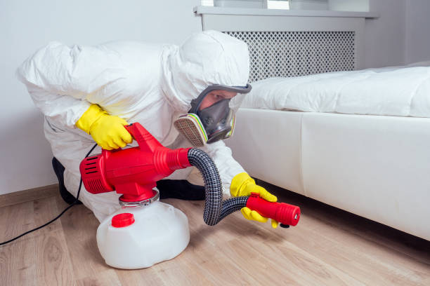 Best Mosquito Control Services  in Fruitland Park, FL