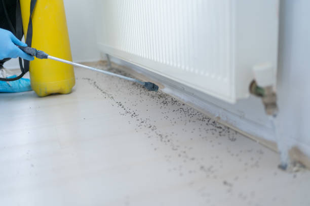 Best Residential Pest Control  in Fruitland Park, FL