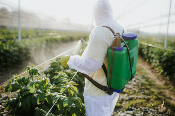 Best Pest Control Near Me  in Fruitland Park, FL